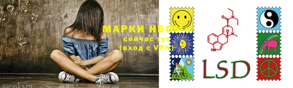 соль ск Володарск