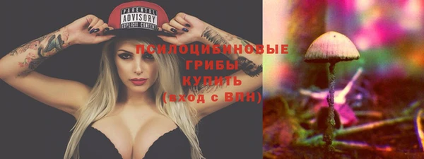 гидропоника Верхнеуральск