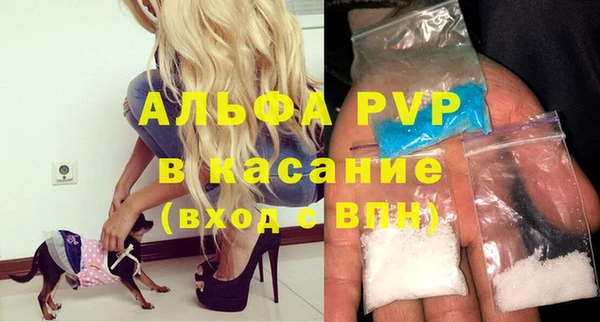 PSILOCYBIN Волосово