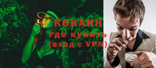 шишки Козловка