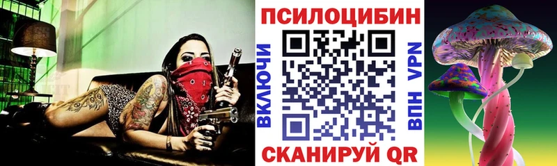 купить   Славянск-на-Кубани  Галлюциногенные грибы Psilocybine cubensis 