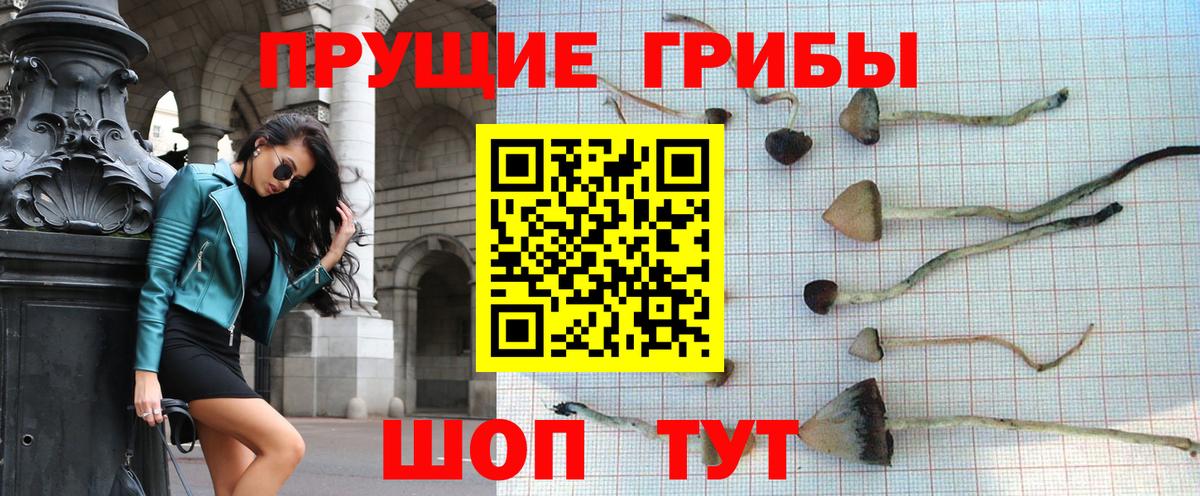 Псилоцибиновые грибы прущие грибы Славянск-на-Кубани