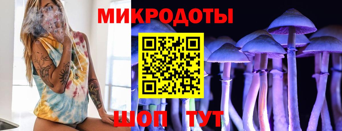 Галлюциногенные грибы мицелий  Вход с VPN  Галлюциногенные грибы мицелий  Славянск-на-Кубани 